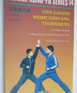 Five Ganzhi Meihuazhuang Techniques