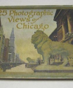 125 photographic Viewsof Chicago