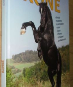 Koně - původ, plemena, vlastnosti, chov, jízda, výcvik, ustájení, zajímavosti