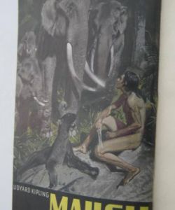Maugli - Povídky z džungle