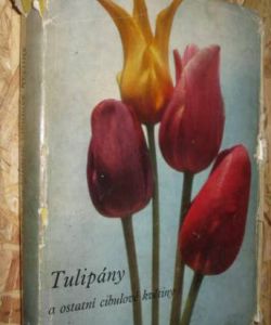 Tulipány a ostatní cibulové květiny