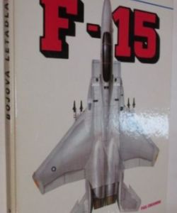 Bojová letadla - F-15