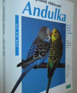 Andulka- papoušek vlnkovaný