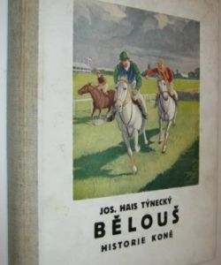 Bělouš  - historie koně