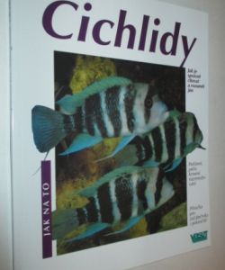 Cichlidy