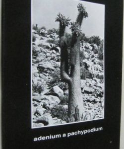 Adenium a pachypodium