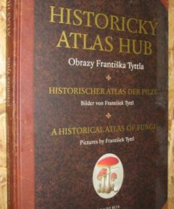 Historický atlas hub
