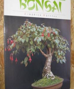 Pokojová bonsai